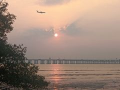 -宝安西湾红树林湿地公园