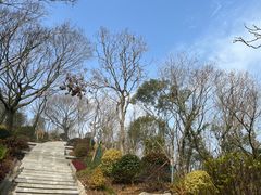 -青龙山公园