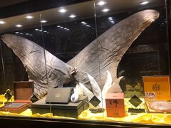 -半岛翡丽海鲜自助餐厅(观风亭店)