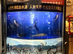 -潇湘码头·鲜湘菜(清河店)