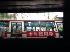 奥斯卡国际影城-奥斯卡国际影城(杜比全景声&4D激光店)