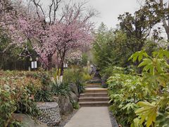 -长安文化生态公园