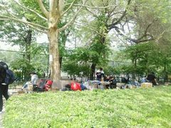 -中央民族大学
