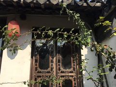-小雅青年旅舍(平江路店)