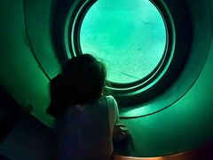 -白鹤梁水下博物馆