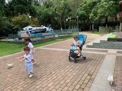 -合肥滨湖国家森林公园