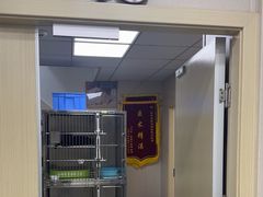 -安安宠医宠物医院·异宠·犬猫内科(岳阳分院)