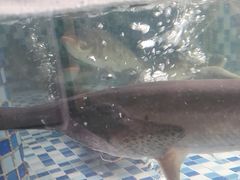 -后湖小院·乡野田园菜