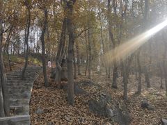 -南京市无想山景区