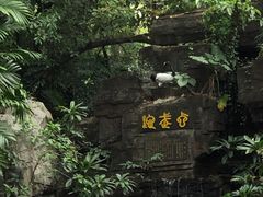 -紫马岭公园