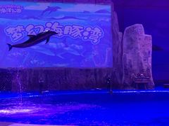 -华夏文旅海洋公园