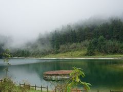 -武陵山森林公园