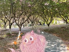 -白塘生态植物园