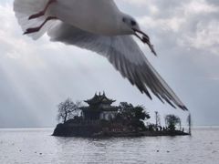 -大理洱源西湖景区