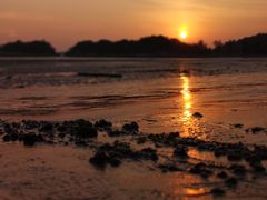 -普陀山风景名胜区-千步大沙