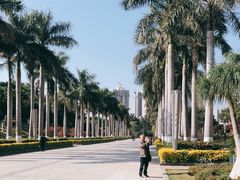 -五通灯塔公园