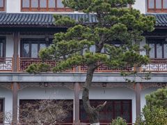 -兰亭风景区
