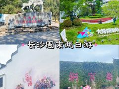 -长沙黑麋峰国家森林公园