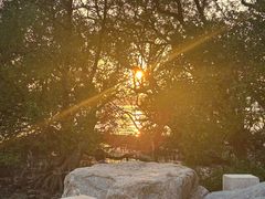 -宝安西湾红树林湿地公园