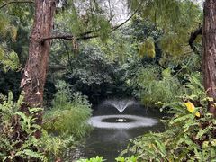 -广州兰圃