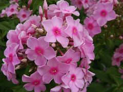 -意大利农场度假村