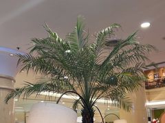 -逸派咖啡 EPARKCOFFEE(广安门店)