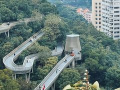 -福道