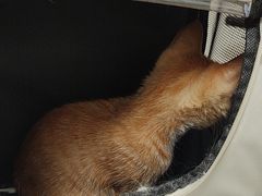 -美联众合24小时·皮肤科·外科·全科诊疗中心(华苑分院)