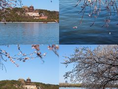 -国家植物园