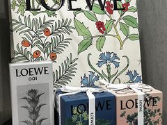 -LOEWE罗意威(北京SKP女装店(一层))