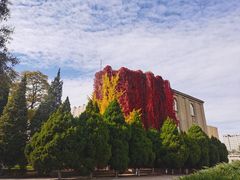 -辽宁大学(崇山校区)