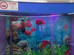 -雅悦齿科(顾村公园店)