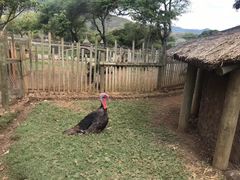 -卡塞拉自然公园