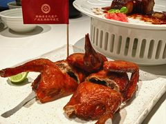 非遗红烧乳鸽-侨美食家·41年地道粤菜(珠江新城店)