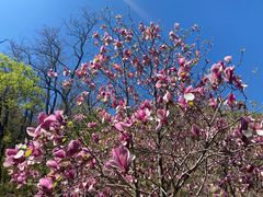 -鹫峰国家森林公园