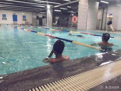 -金吉鸟健身游泳