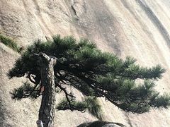 -天柱山风景区