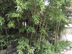 -王家大院