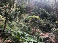 -火炉山森林公园