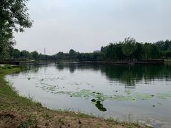 -东郊湿地公园