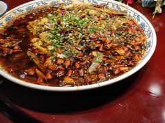 -新概念来凤鱼(璧山店)