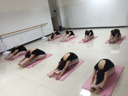 -艺佳舞蹈培训学校