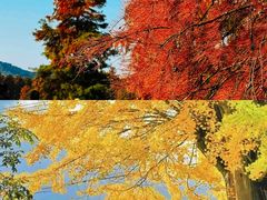-四明山国家森林公园
