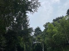 -紫金山山顶公园