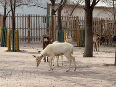 -水上乐园·欢乐世界