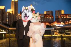 -韩国艺匠ARTIZ STUDIO(天津店)