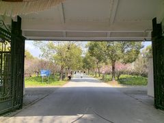 -上海海湾国家森林公园