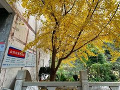 -青林口古镇