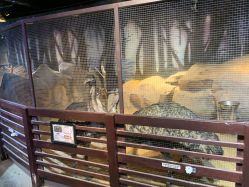 -酷嗒动物文化乐园(cutezoo西溪乐天城店)