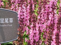 -国家植物园